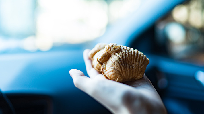 pyeongchang-ioniq-electric (17).jpg