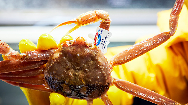 yeongdeok-niro-hybrid (4).jpg