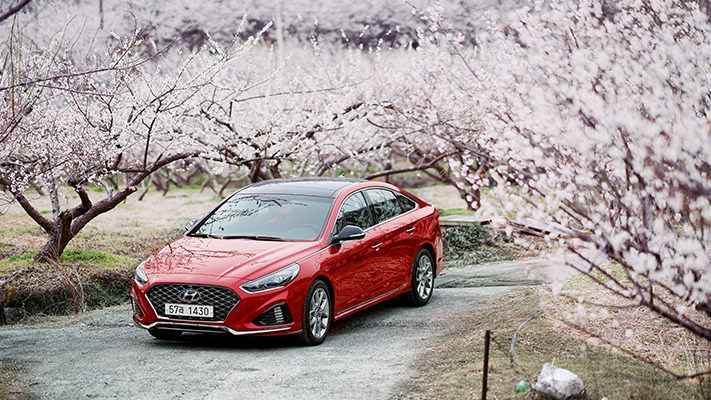 hyundai-spring-south (12).jpg