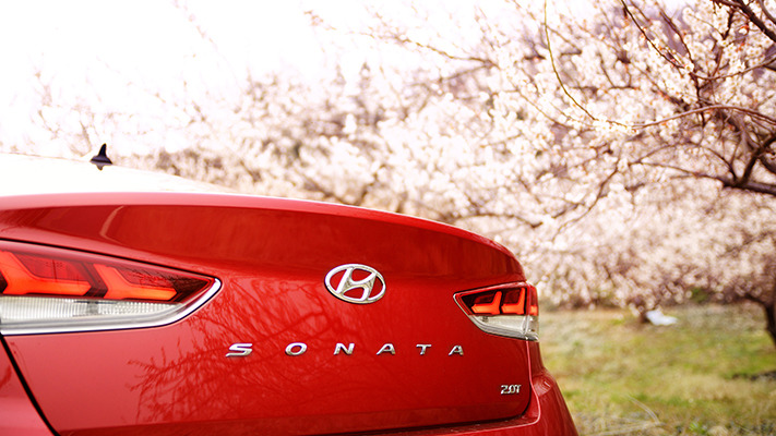 hyundai-spring-south (15).jpg