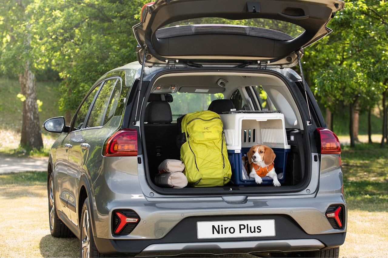 niro-plus-dogs005.jpg