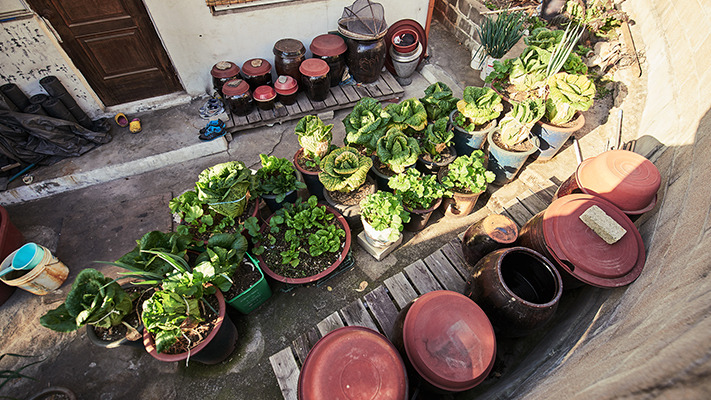 niro-uphill-travel-story (12).jpg