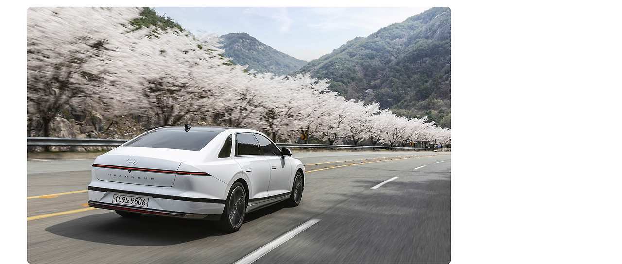 Cherryblossom-road-trip-with-Grandeur13.jpg
