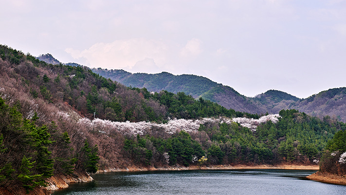 blossomy-cheongju-travel%20(14).jpg