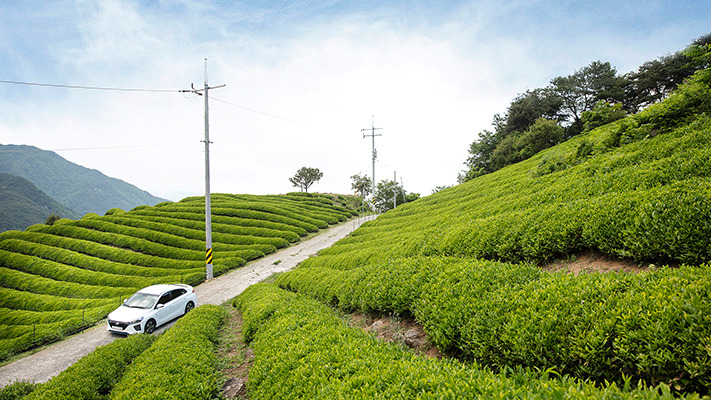 hyundai-ioniq-photoessay (12).jpg