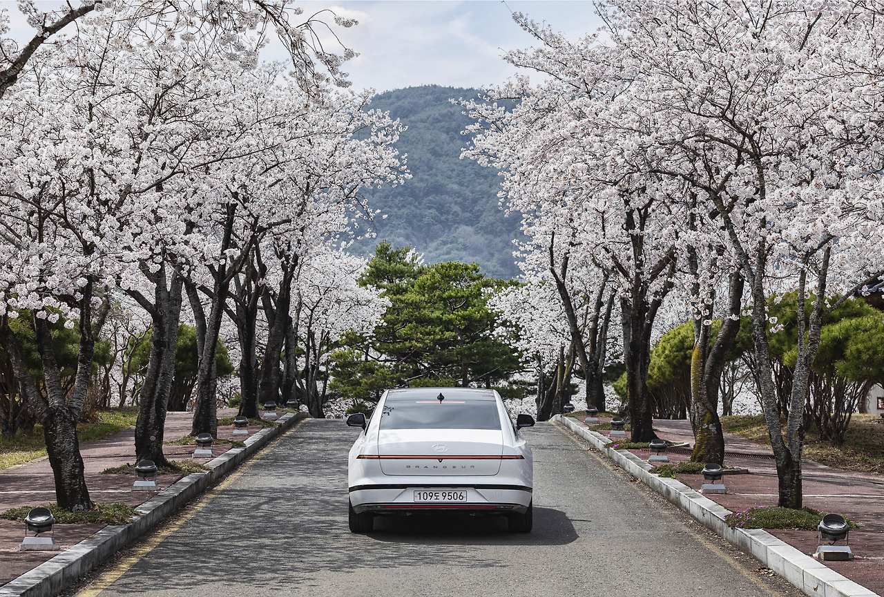 Cherryblossom-road-trip-with-Grandeur14.jpg
