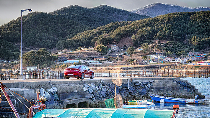 hyundai-spring-south (8).jpg