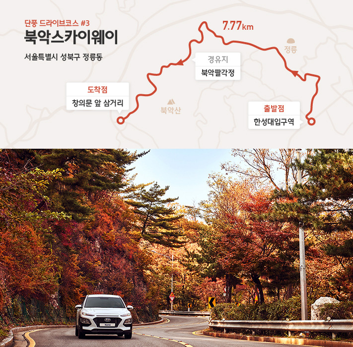 hyundai-autumn-drive (6).jpg