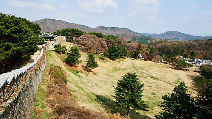 blossomy-cheongju-travel%20(12).jpg