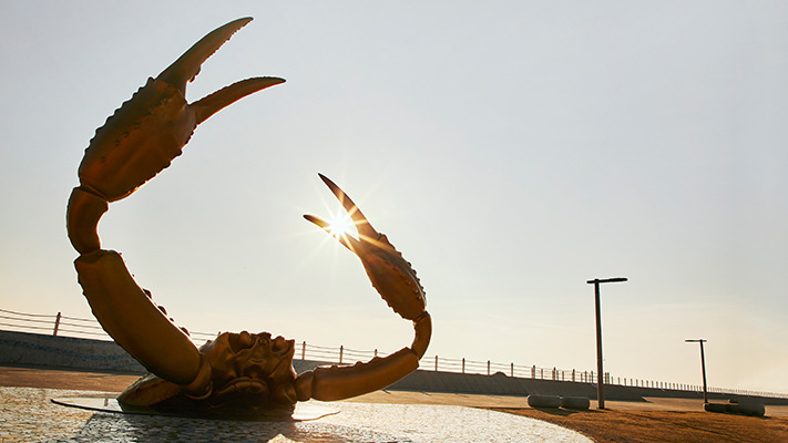 yeongdeok-niro-hybrid (29).jpg