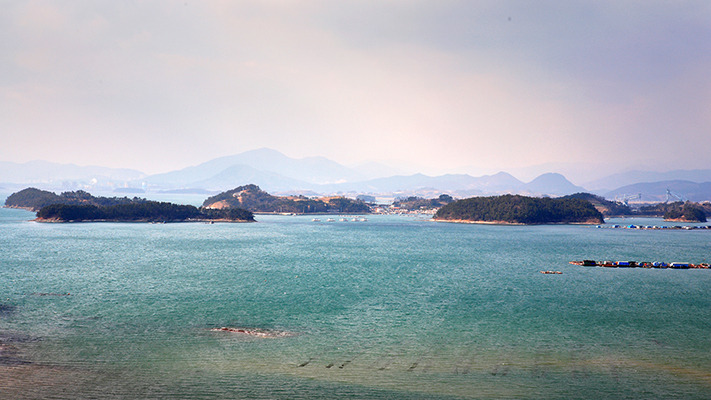 hyundai-spring-south (10).jpg