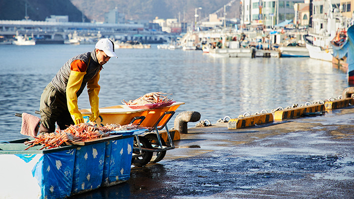 yeongdeok-niro-hybrid (16).jpg