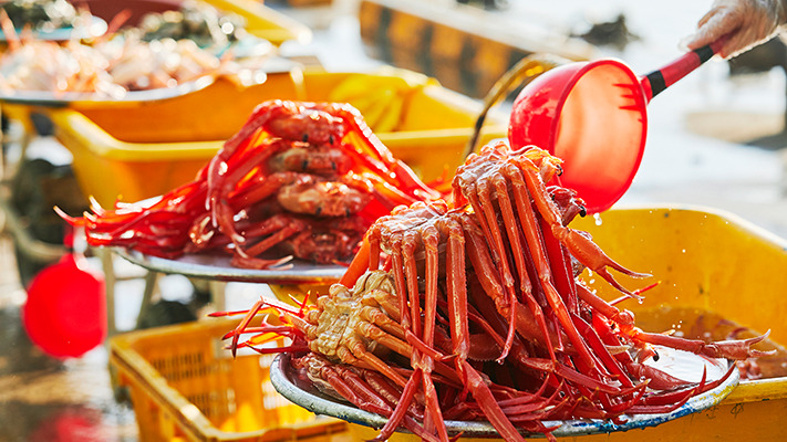 yeongdeok-niro-hybrid (17).jpg