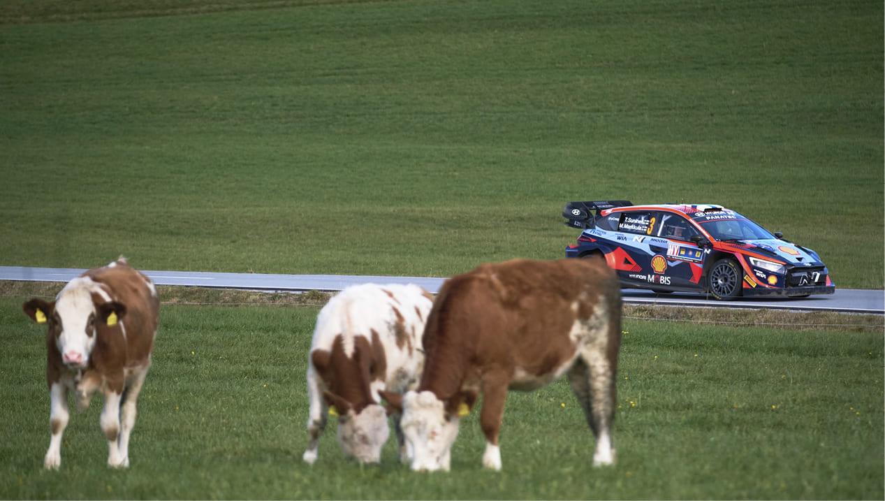 2023-WRC-R12-Central-Europe19.jpg