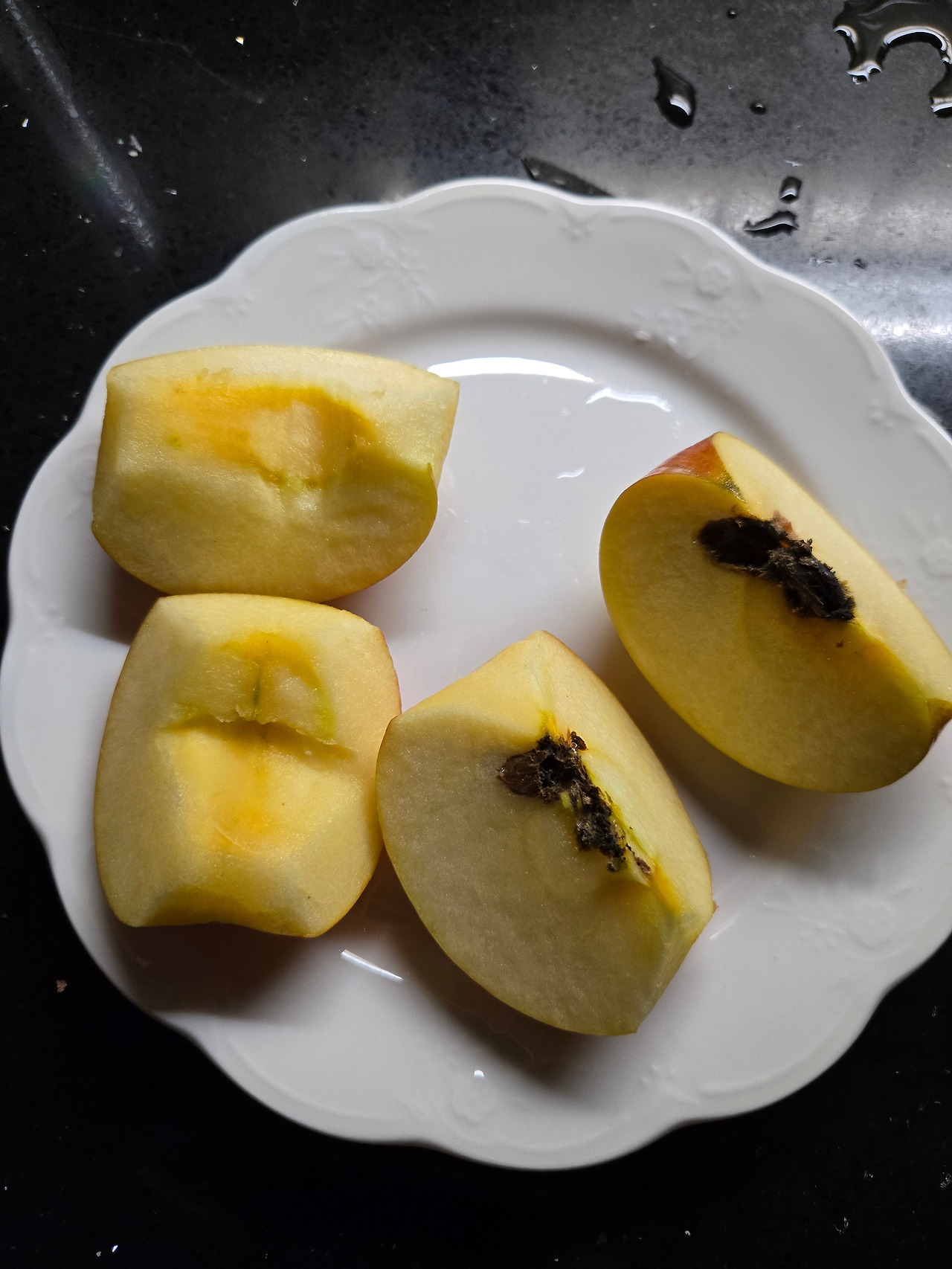 카지노 게임 사이트