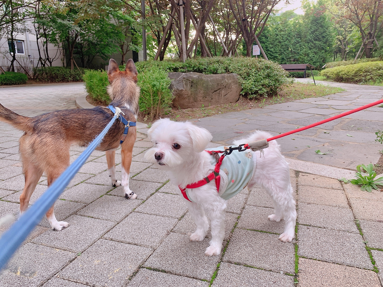 KakaoTalk_20210909_103724261_15 (1).jpg