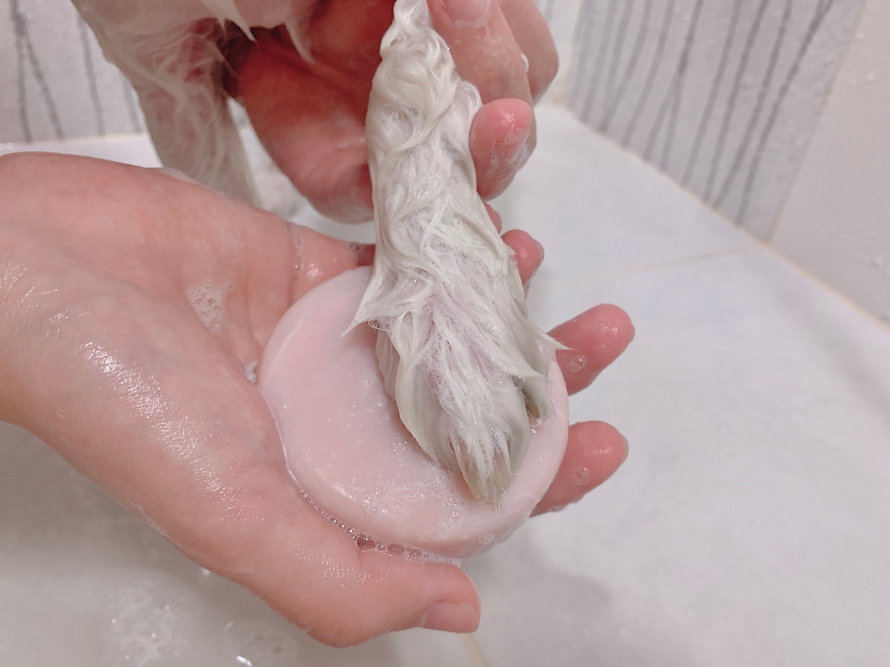 KakaoTalk_20210909_103724261_01 (1).jpg