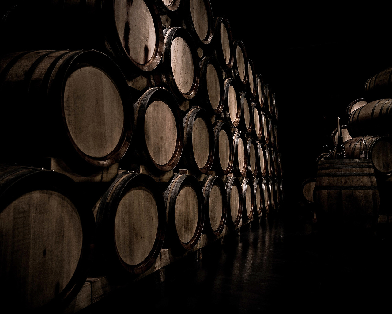 Photo by Daniel Vogel on Unsplash.jpg