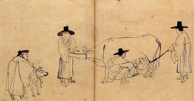 1 조영석 젖짜는 어미소와 송아지.jpg