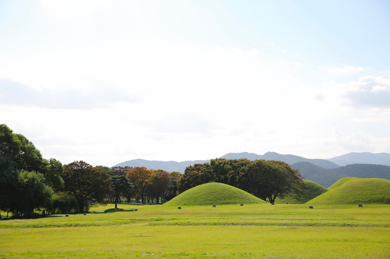 001 복사.jpg