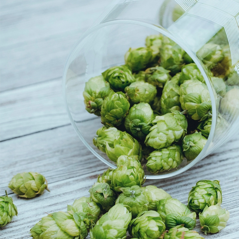 A-Markus Spiske on Unsplash.jpg