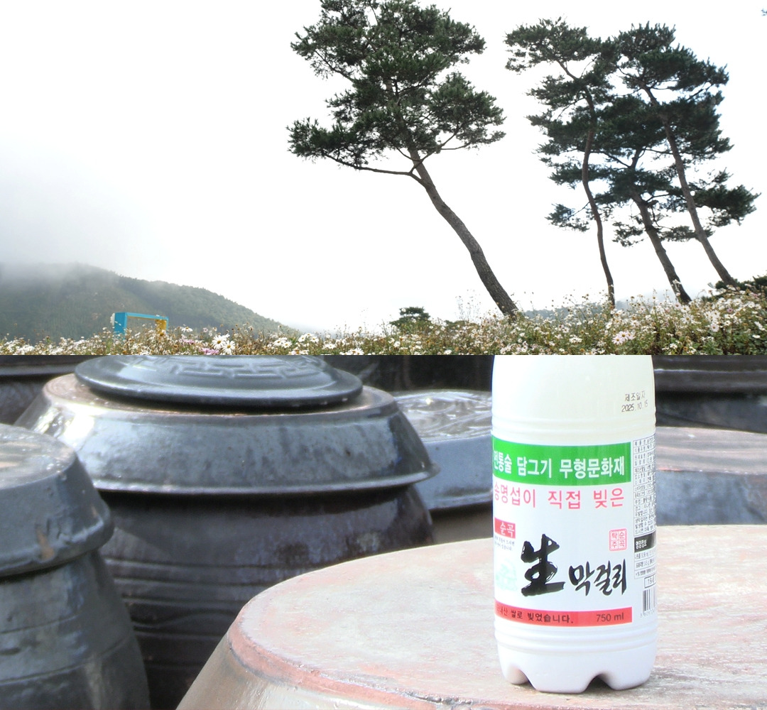 C 정읍.jpg