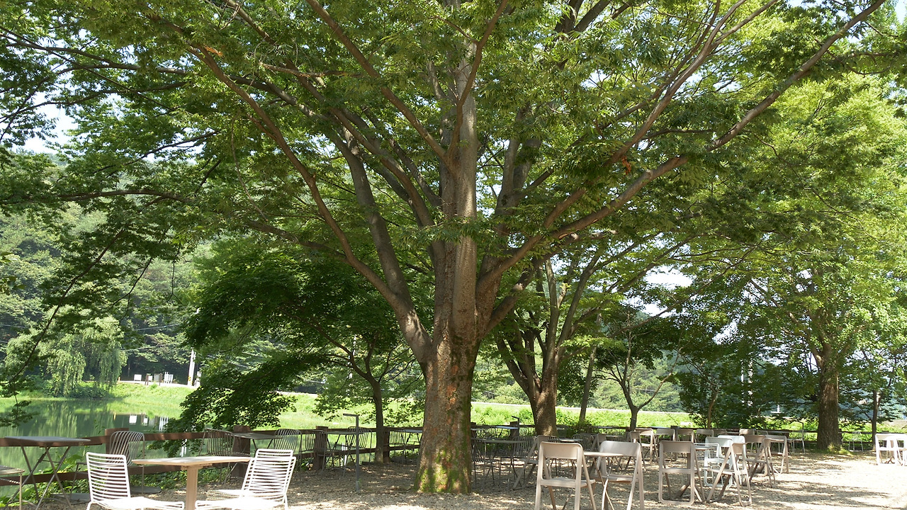 EDIT1.00_04_03_20.스틸 009.jpg