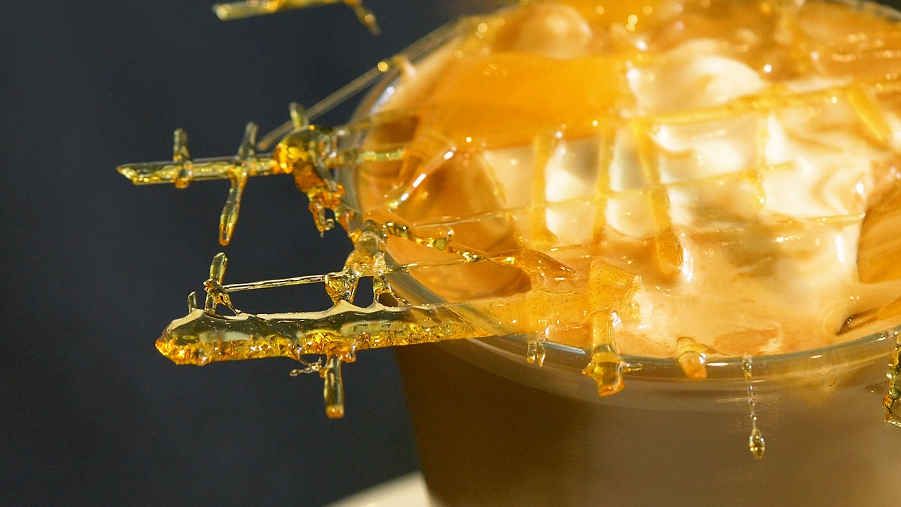 EDIT.00_01_07_10.스틸 006.jpg