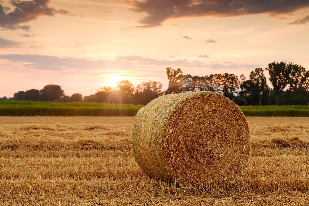 straw-bales-3521063_1280.jpg