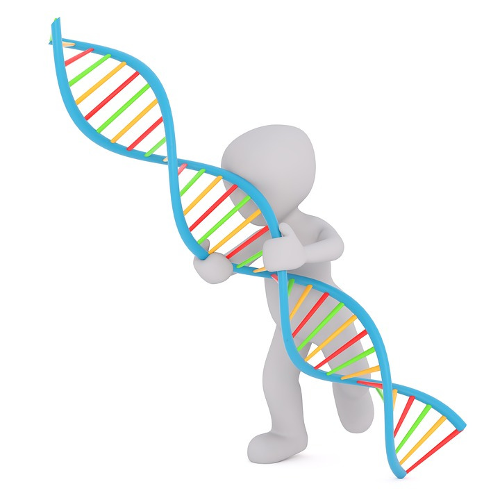 dna-1889086_960_720.jpg