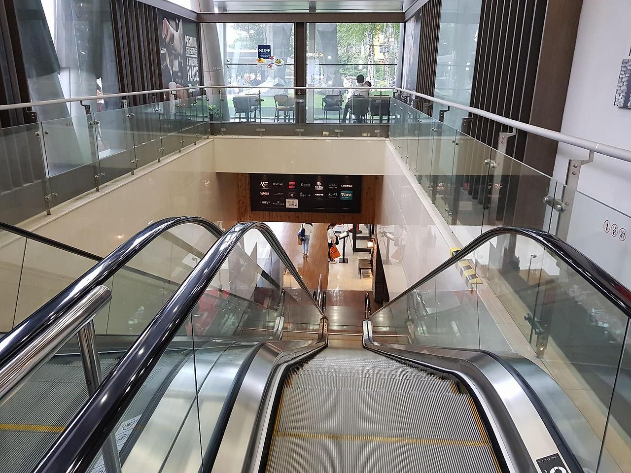 바오차이 전경2.jpg