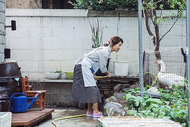 movie_image (13).jpg