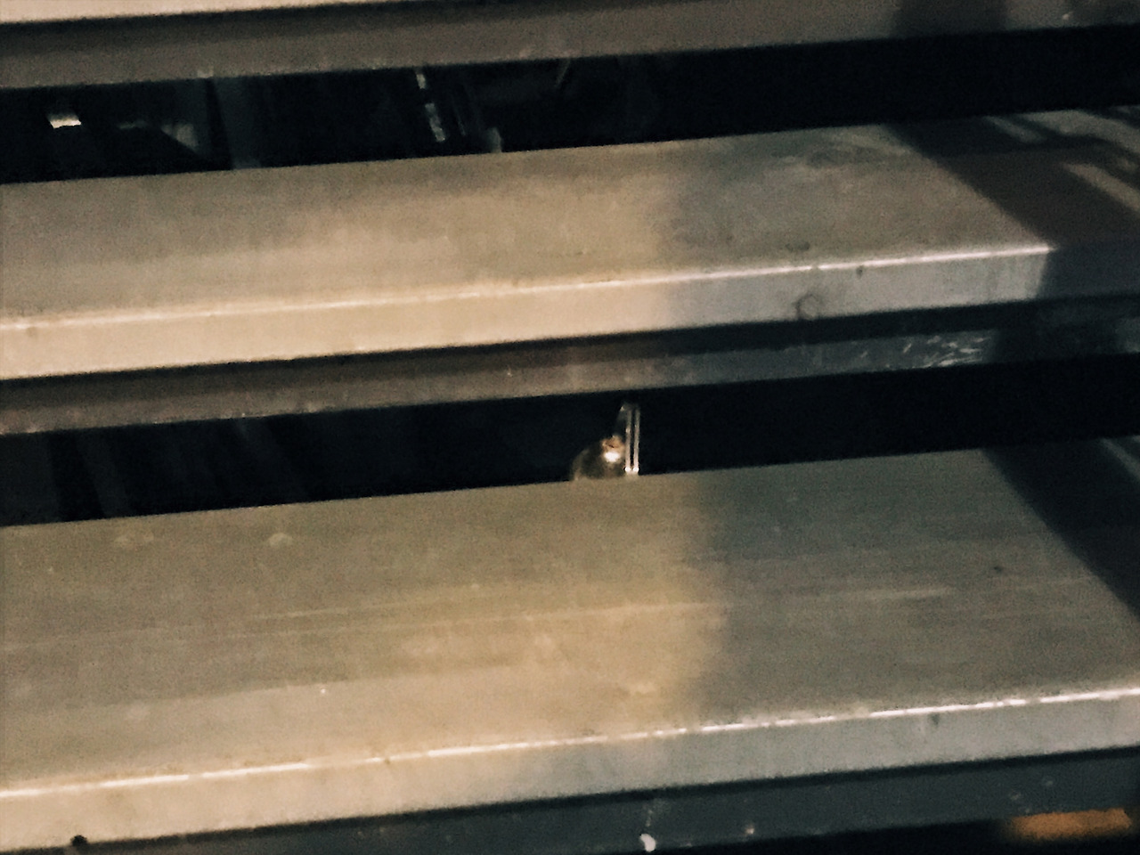 사진 2017. 3. 30. 오후 10 48 38 (1).jpg