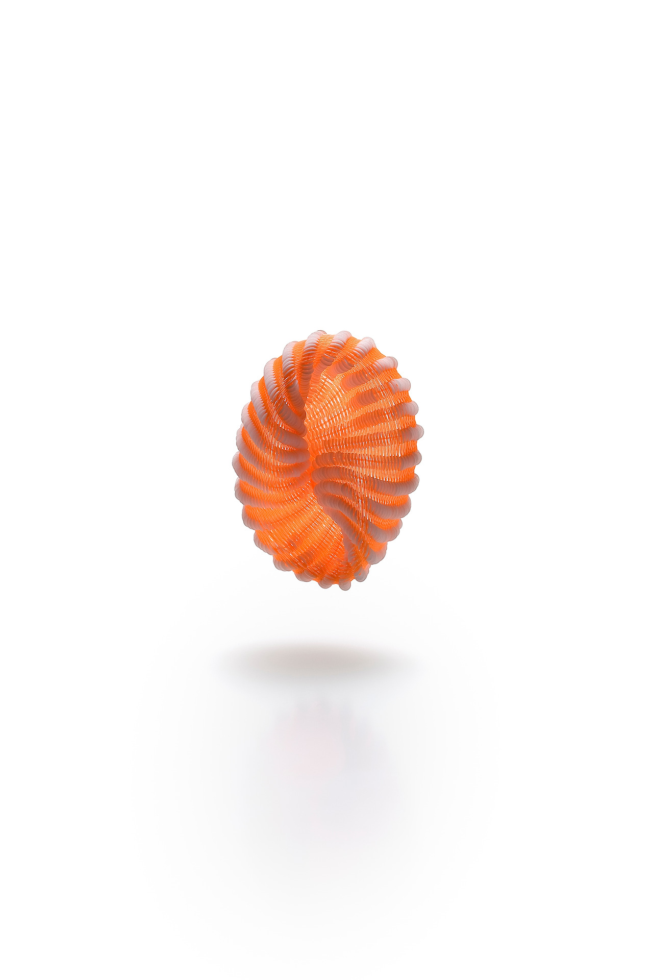 조아라_선회 01.jpg