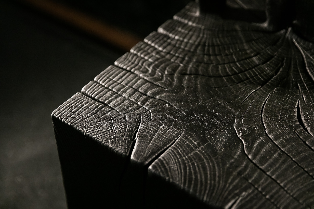 Dan Weill Photography-3.jpg