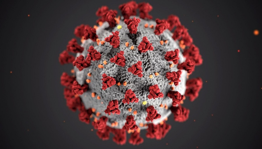 coronavirus20covid-1920workplace20leaders_virus.jpg