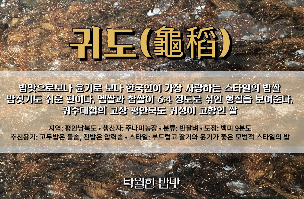 카지노 쿠폰