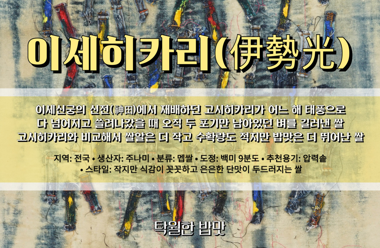 카지노 쿠폰