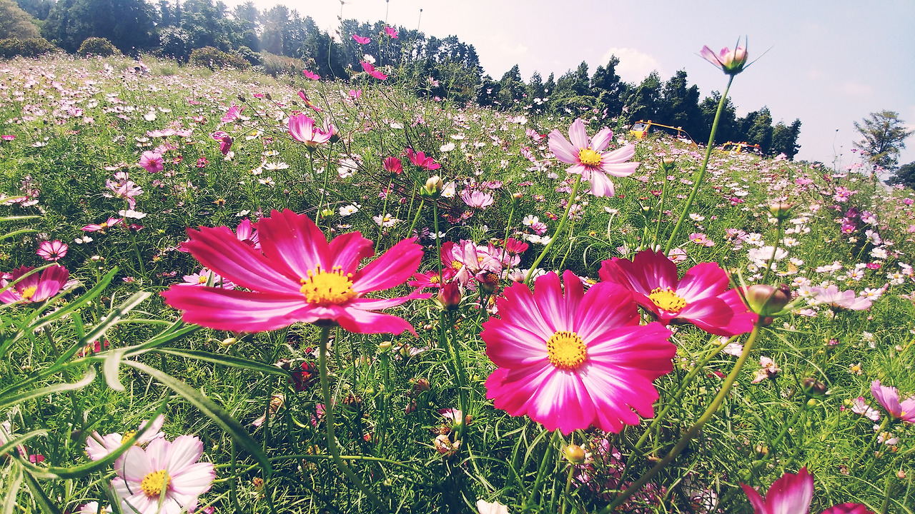 2017-09-12 02.37.53 1.jpg