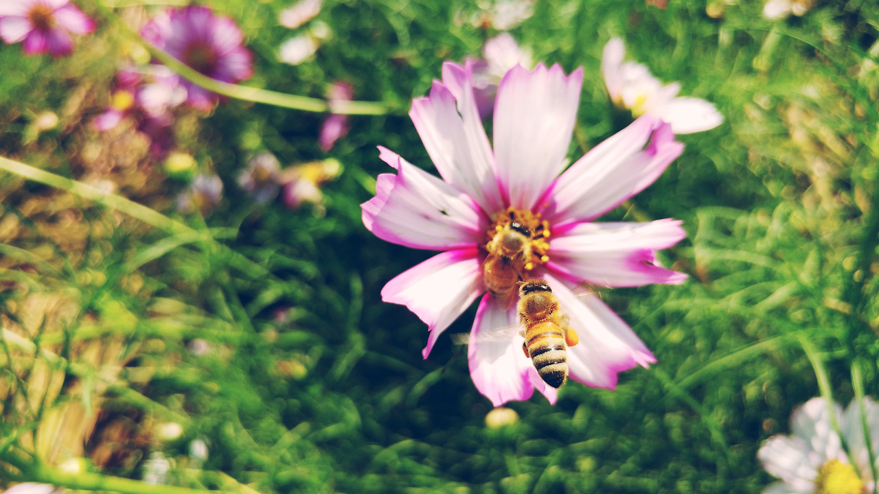 2017-09-12 02.37.54 1.jpg