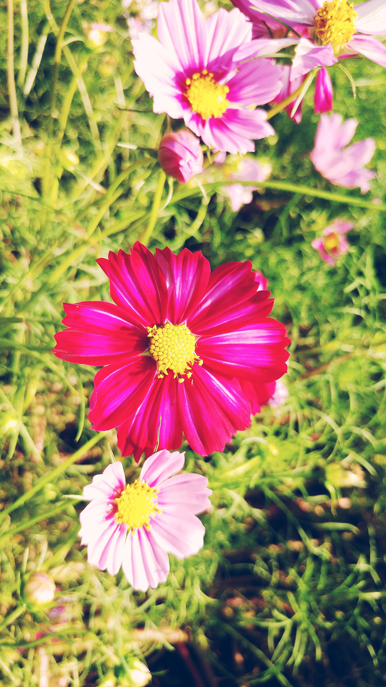 2017-09-12 02.37.48 1.jpg