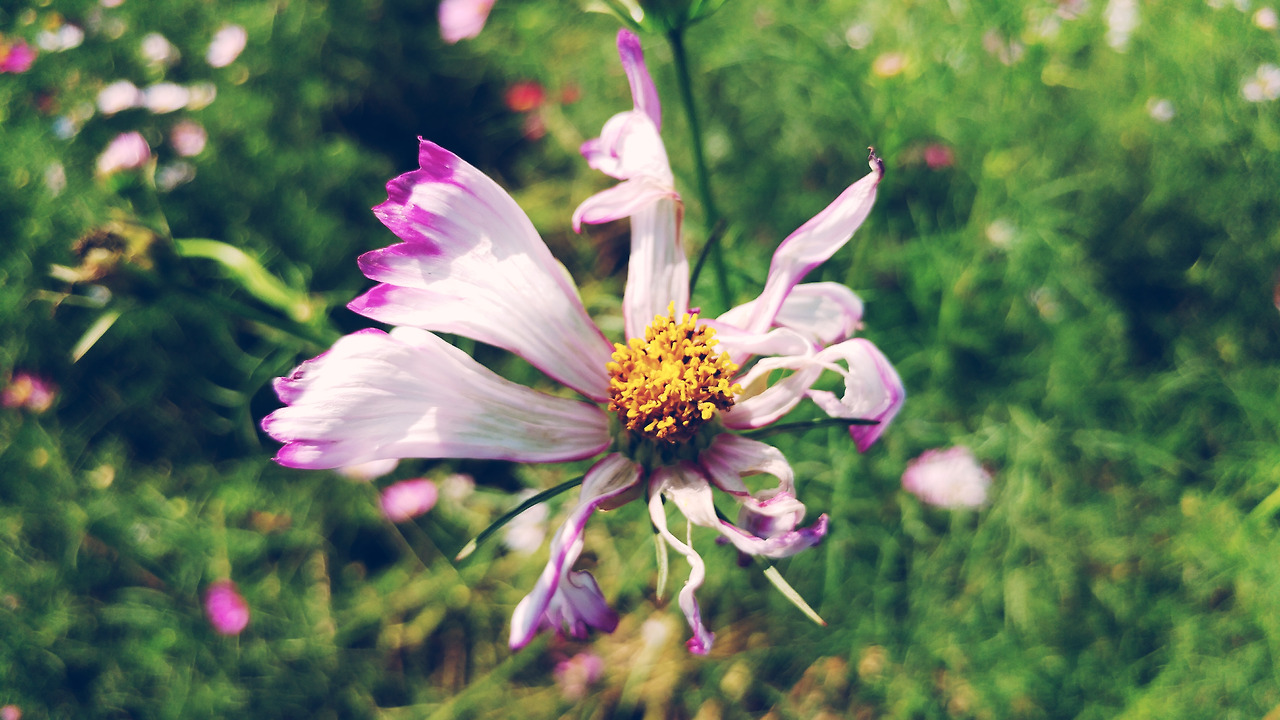 2017-09-12 02.37.38 1.jpg