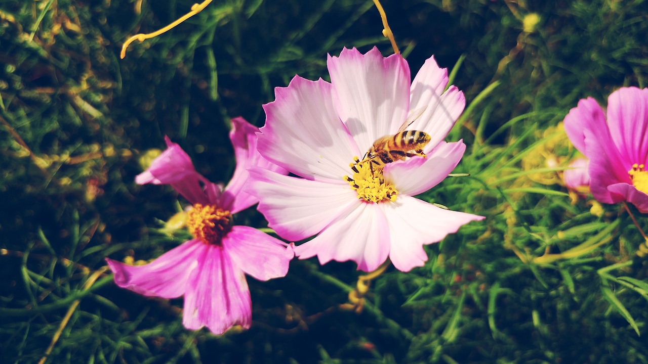 2017-09-12 02.37.44 2.jpg