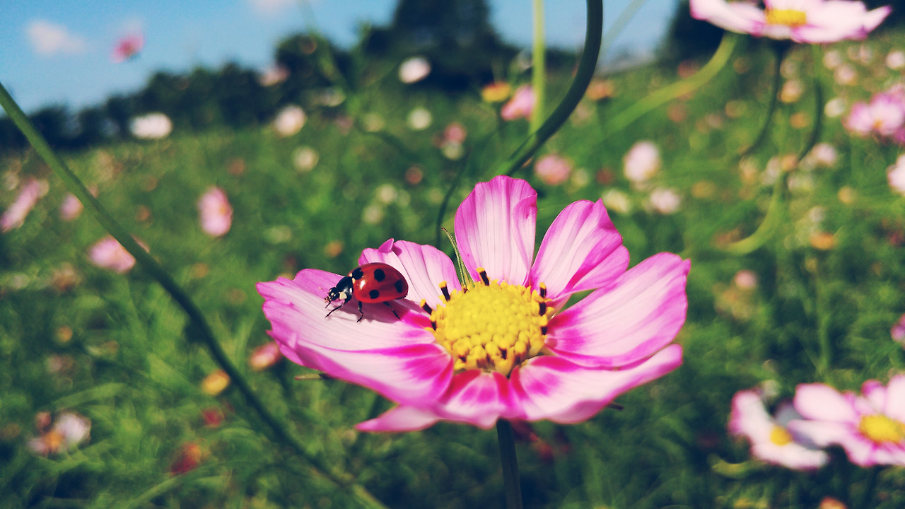 2017-09-12 02.48.25 1.jpg