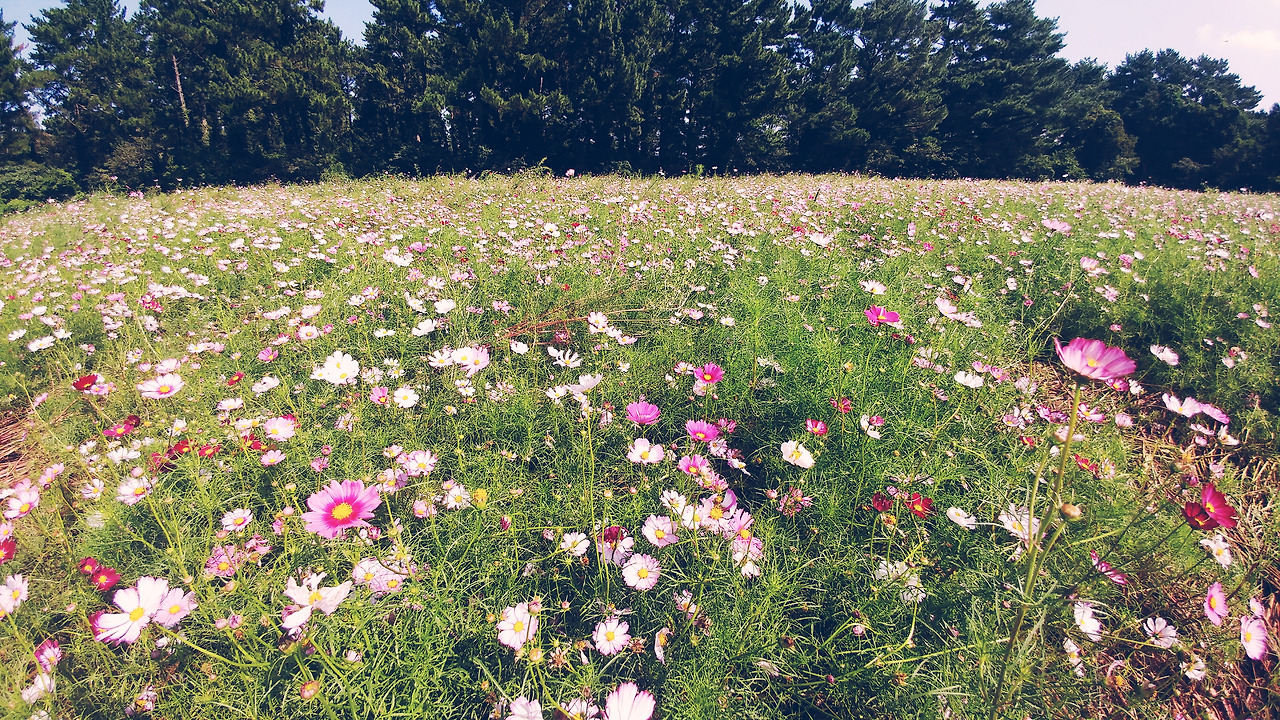 2017-09-12 02.37.52 1.jpg