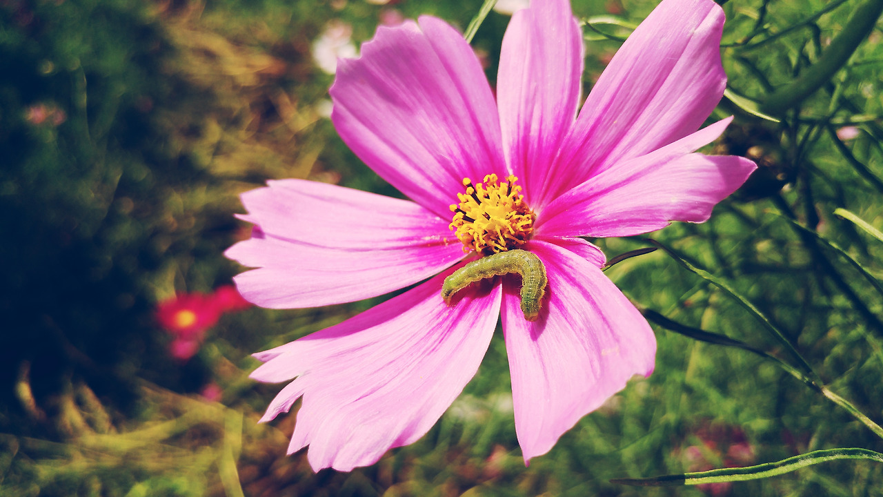 2017-09-12 02.37.42 1.jpg