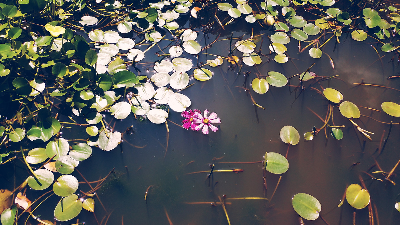 2017-09-12 02.37.31 1.jpg