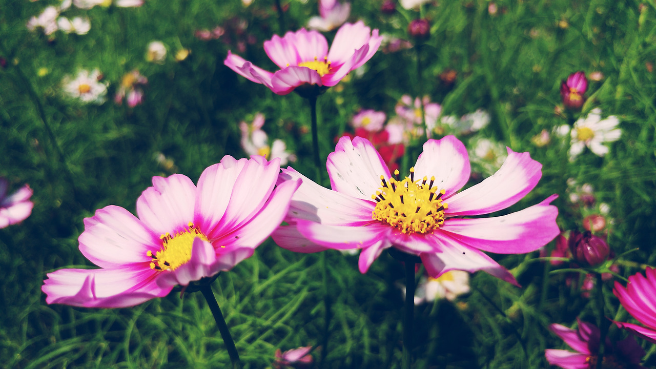 2017-09-12 02.37.44 1.jpg