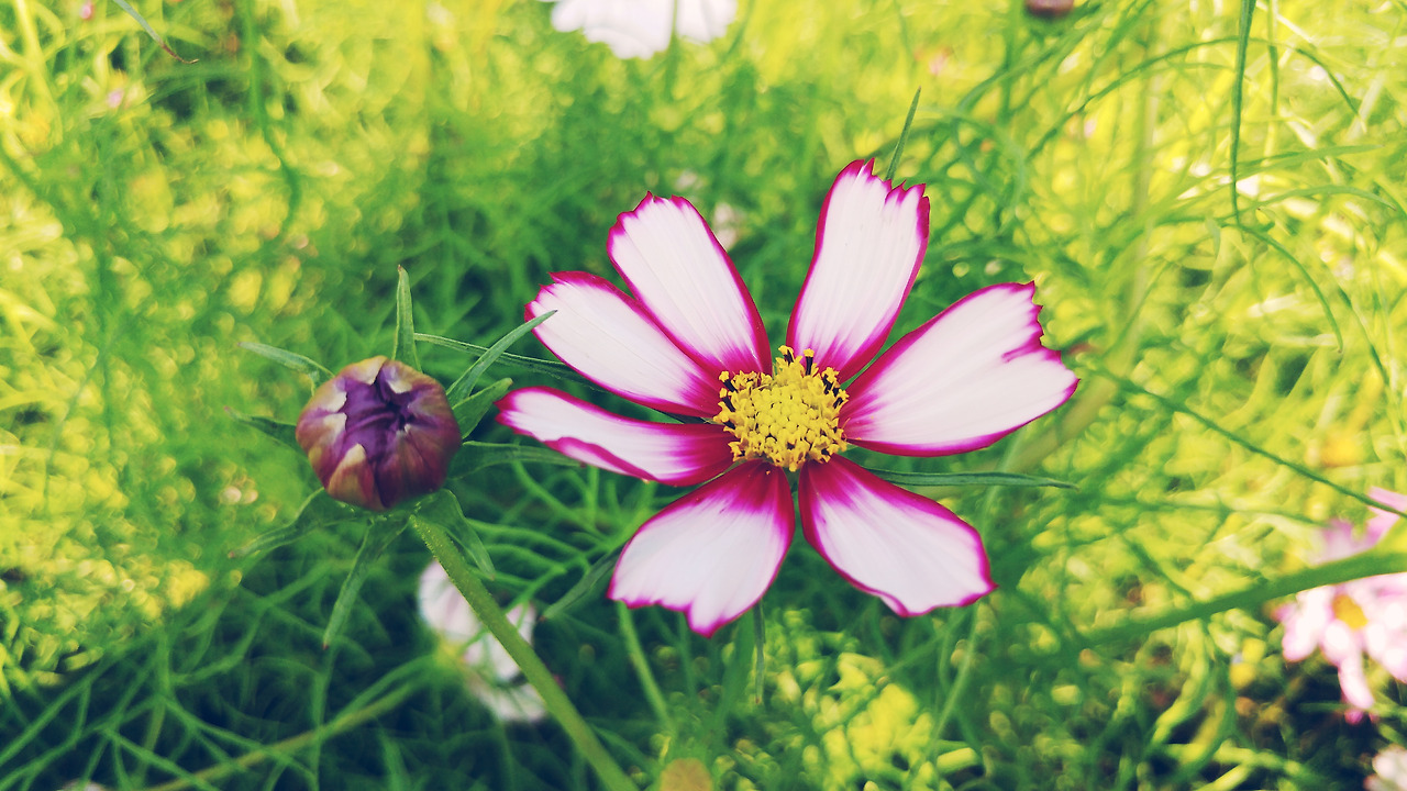 2017-09-12 02.37.56 1.jpg