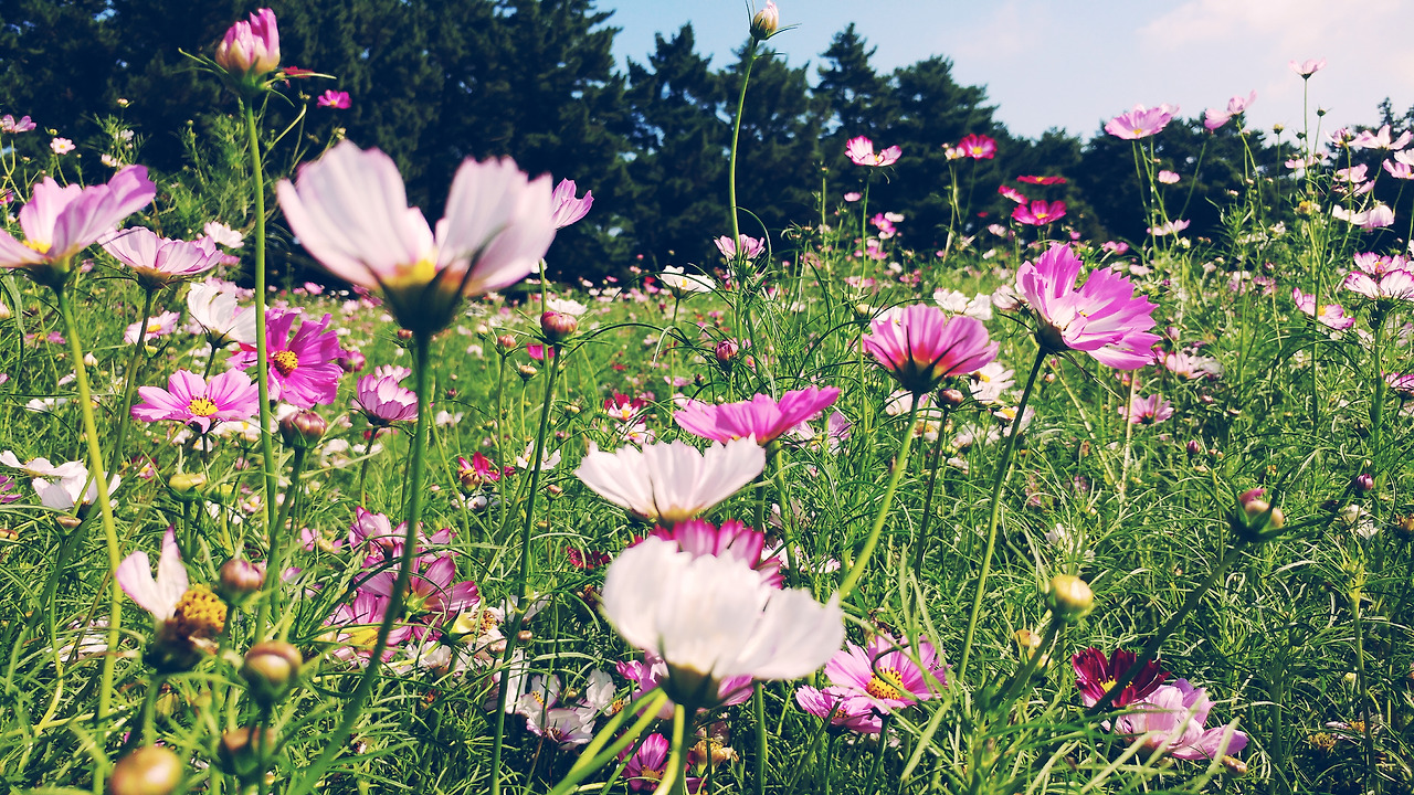 2017-09-12 02.37.57 1.jpg